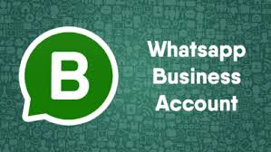 WhatsApp business apk